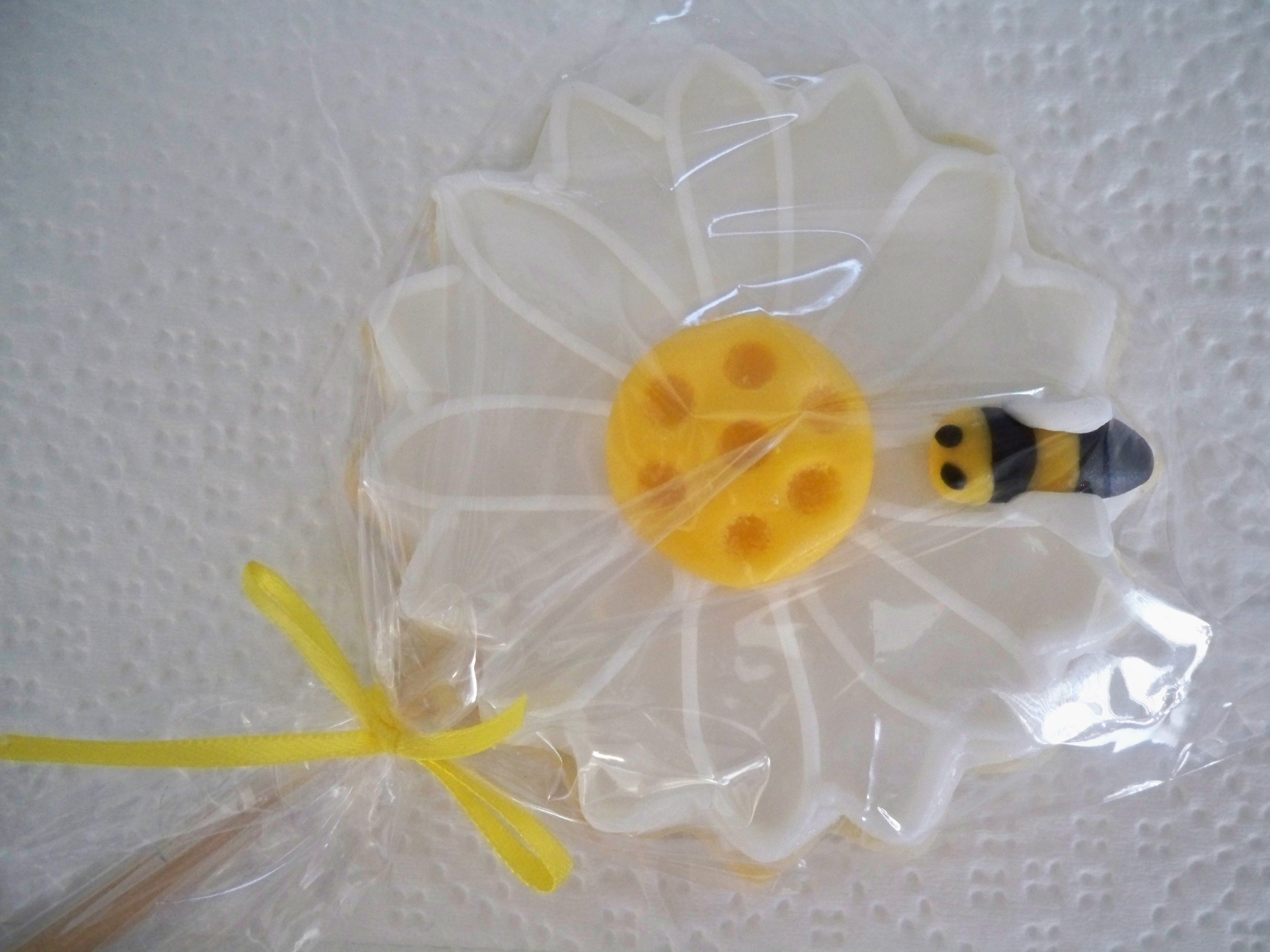 (1)Daisy & Bee 
On A Stick
