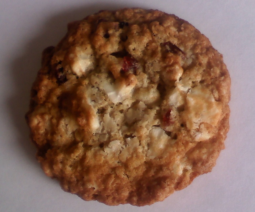 (4)Spiced Orange Cranberry Chocolate Oatmeal cookie