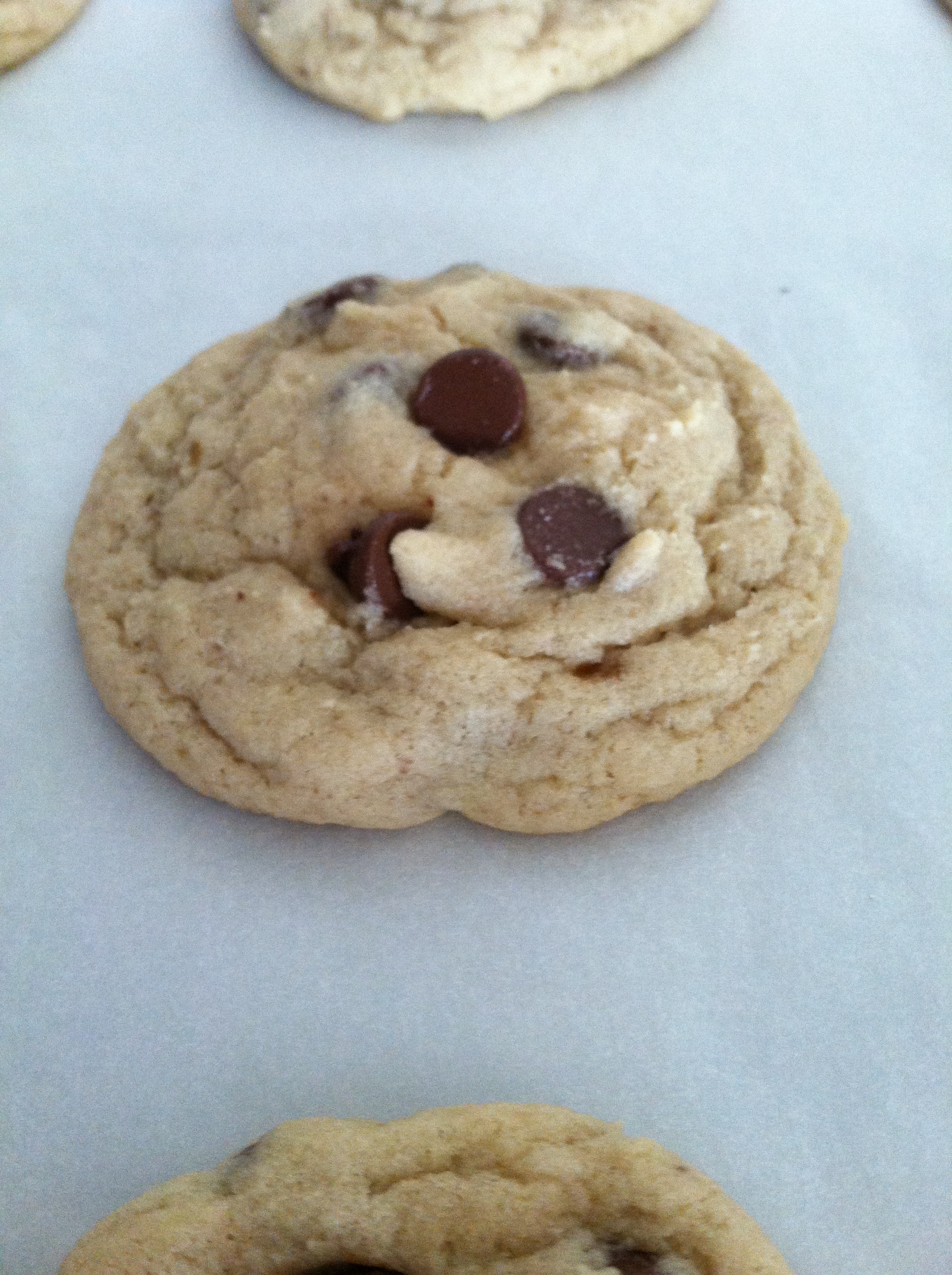 Chocolate Chip Cookie